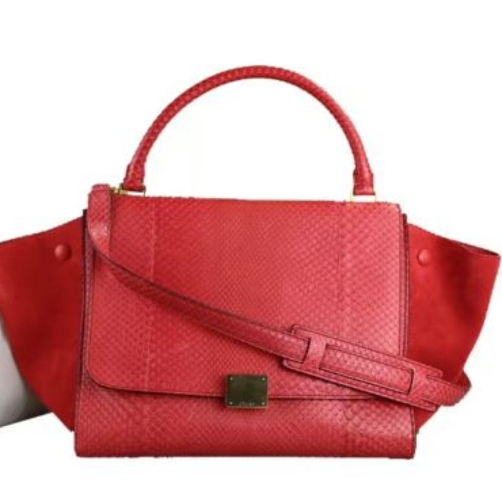 Celine Trapeze Python/Suede Satchel Bag